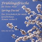 Flyer Frühling 2016